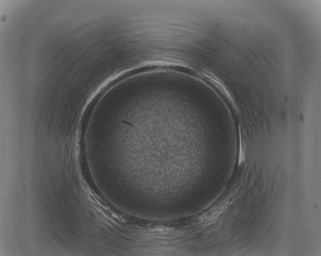 X0000085060387200703121530