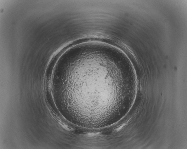 X0000085060388200703121530