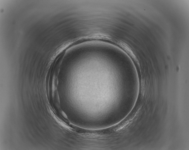 X0000085060389200703121530