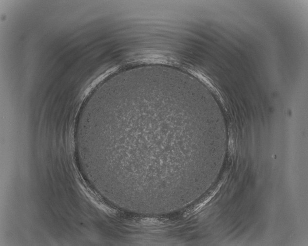 X0000085060390200703121530