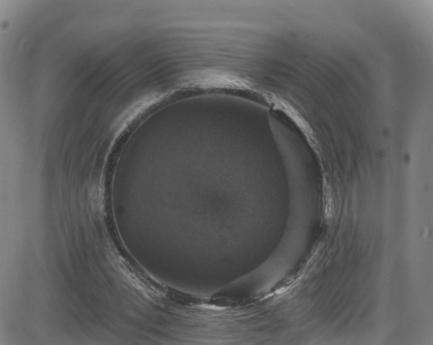 X0000085060391200703121530