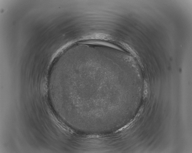 X0000085060392200703121530