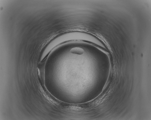 X0000085060393200703121530