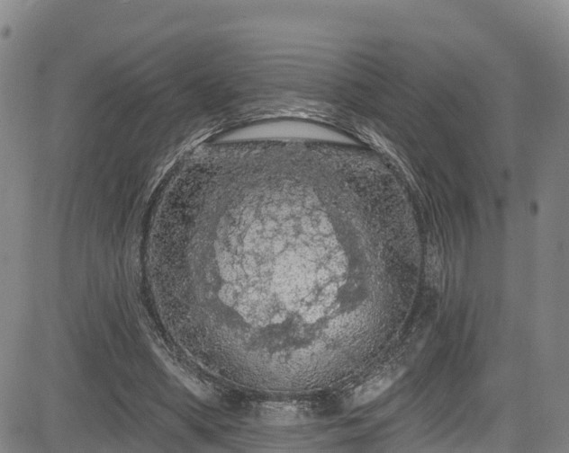 X0000085060394200703121530