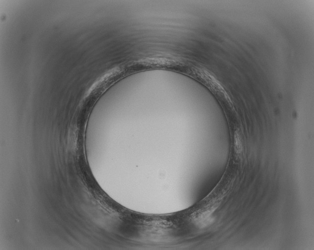 X0000085060396200703121530