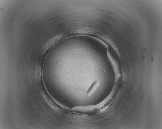 X0000085060397200703121530