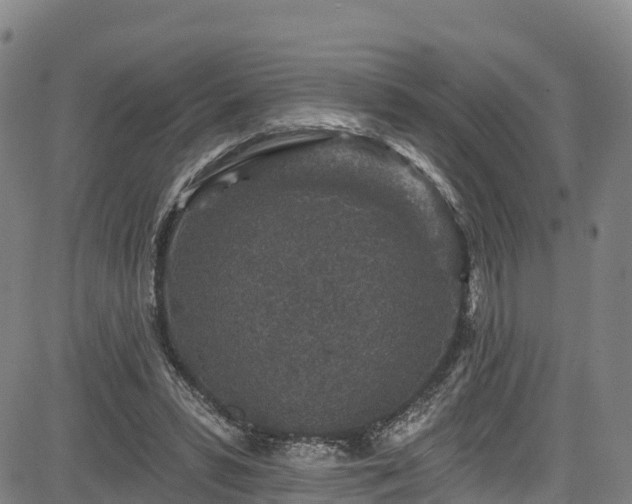 X0000085060399200703121530