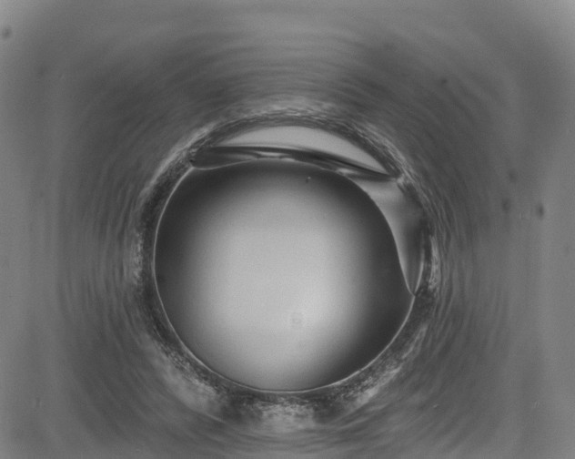 X0000085060400200703121530