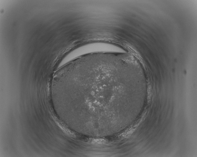 X0000085060401200703121530