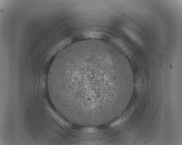 X0000085060402200703121530