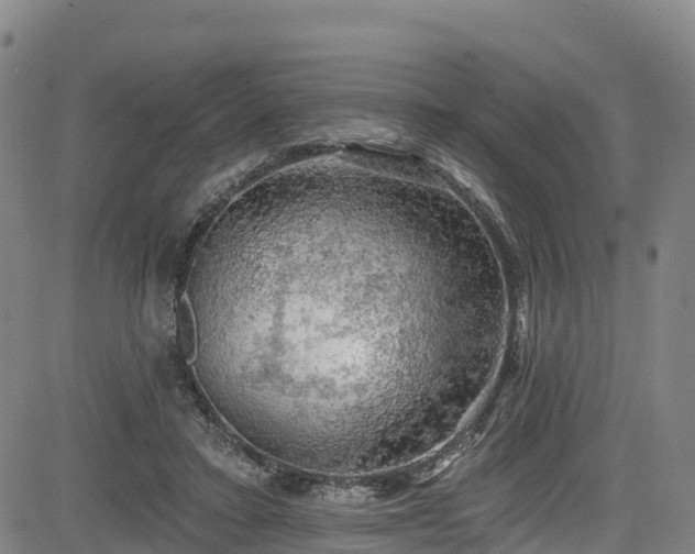 X0000085060403200703121530