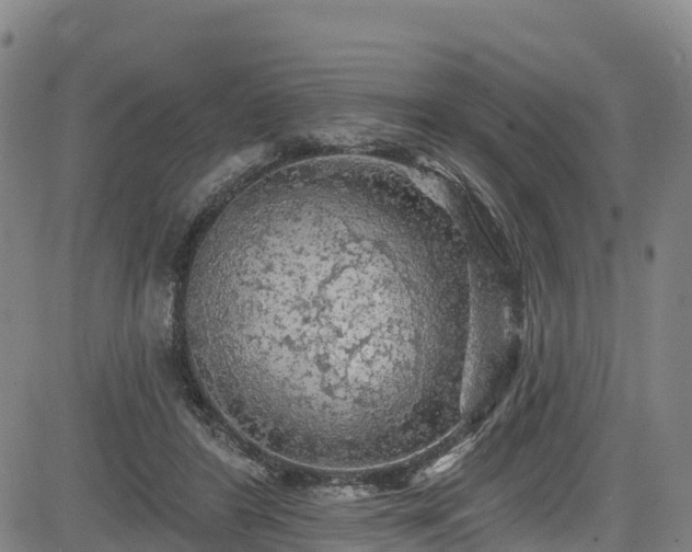 X0000085060404200703121530