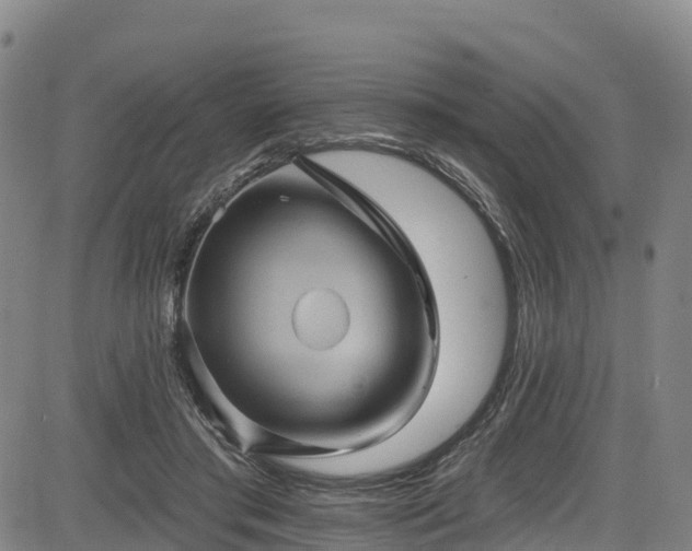 X0000085060405200703121530