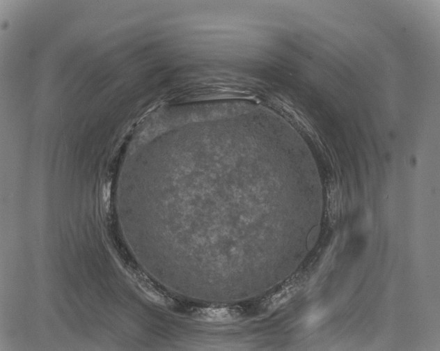 X0000085060406200703121530