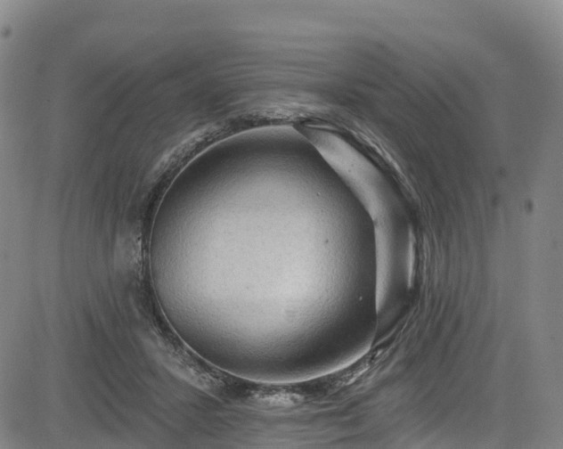 X0000085060407200703121530