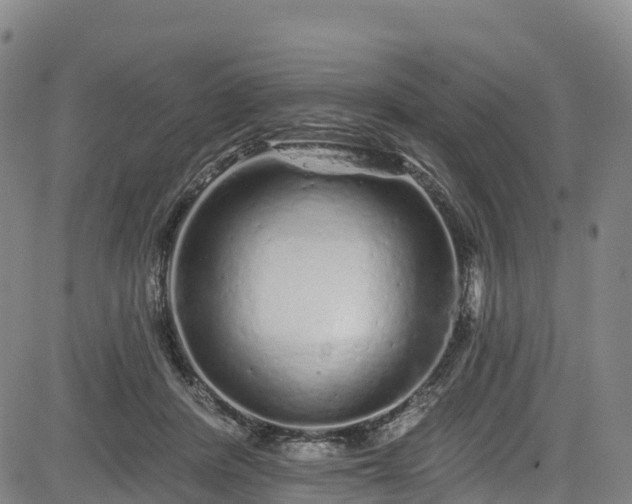 X0000085060408200703121530