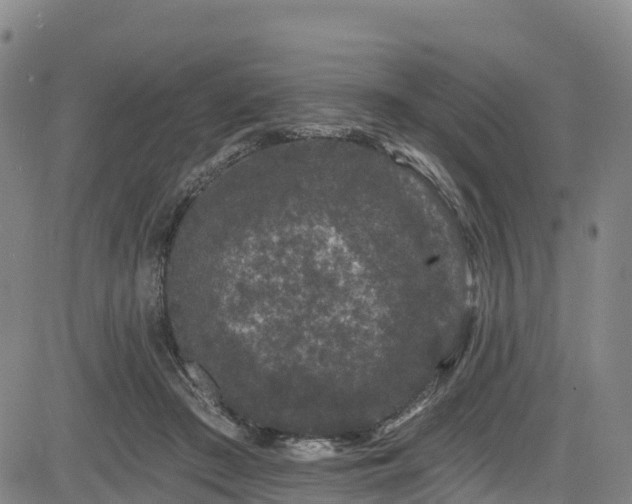 X0000085060409200703121530