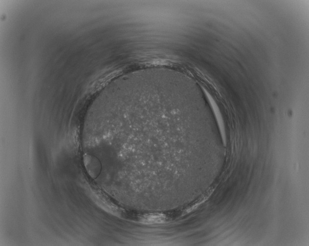 X0000085060410200703121530