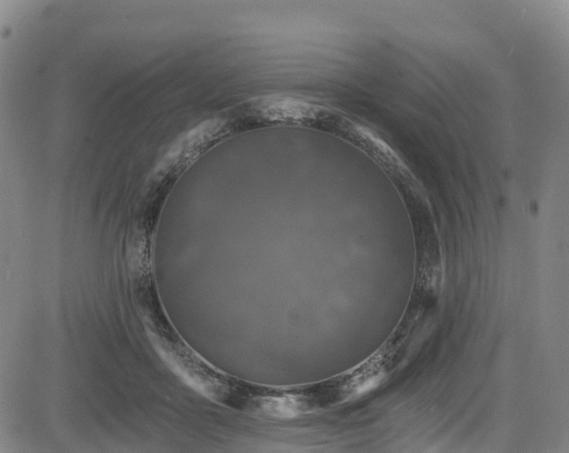 X0000085060411200703121530