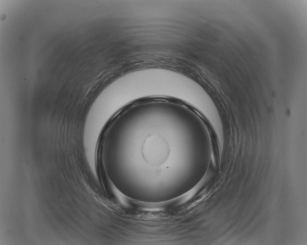 X0000085060412200703121530