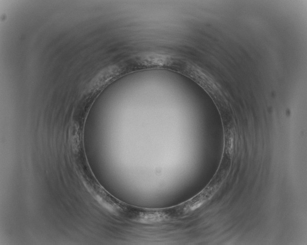 X0000085060414200703121530