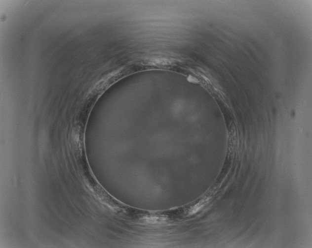 X0000085060415200703121530