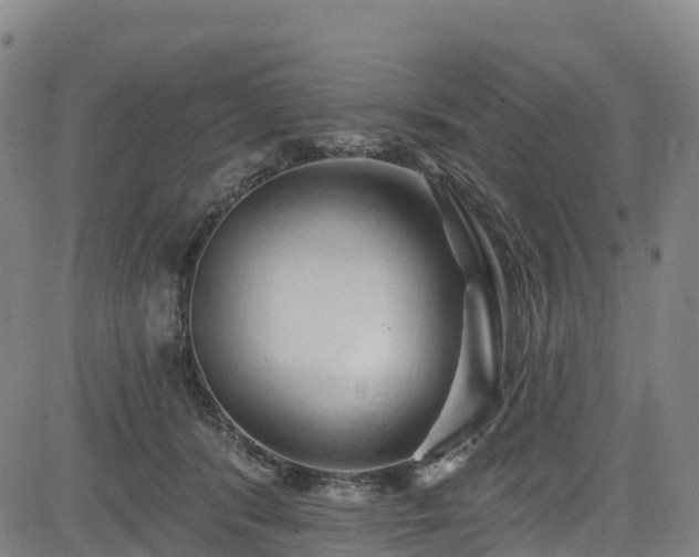 X0000085060416200703121530