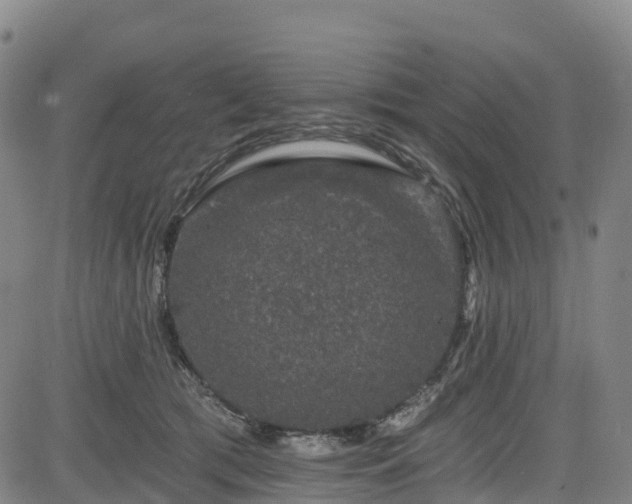 X0000085060417200703121530