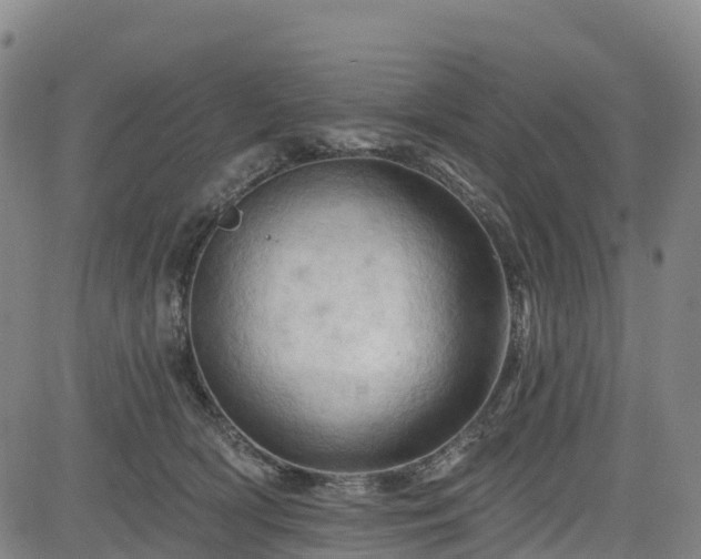 X0000085060418200703121530