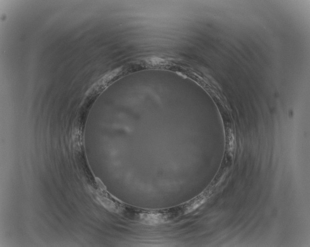 X0000085060419200703121530