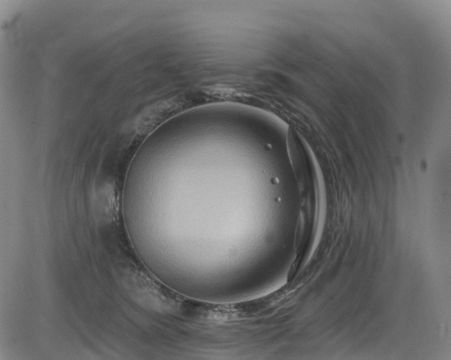 X0000085060420200703121530