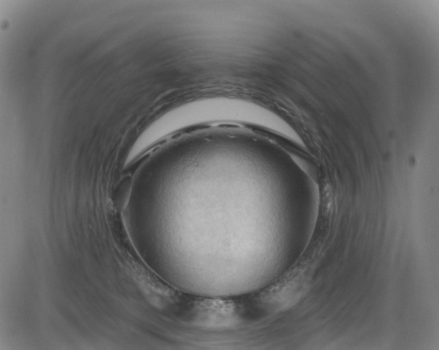 X0000085060421200703121530