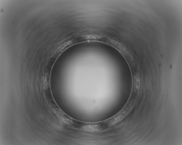 X0000085060422200703121530