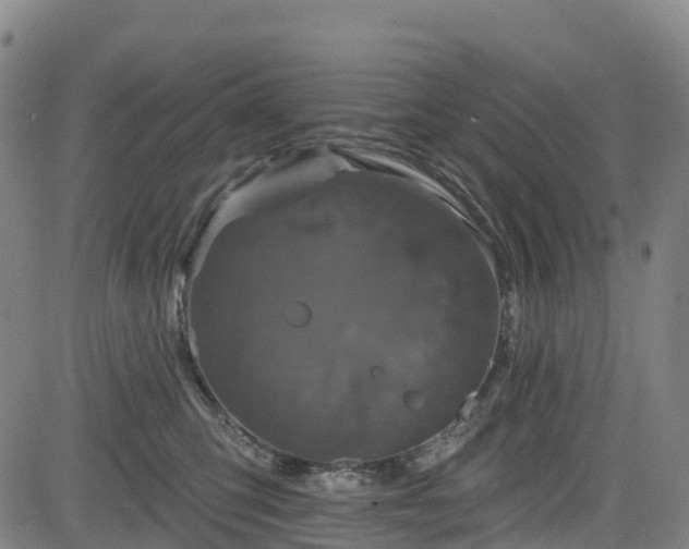 X0000085060423200703121530