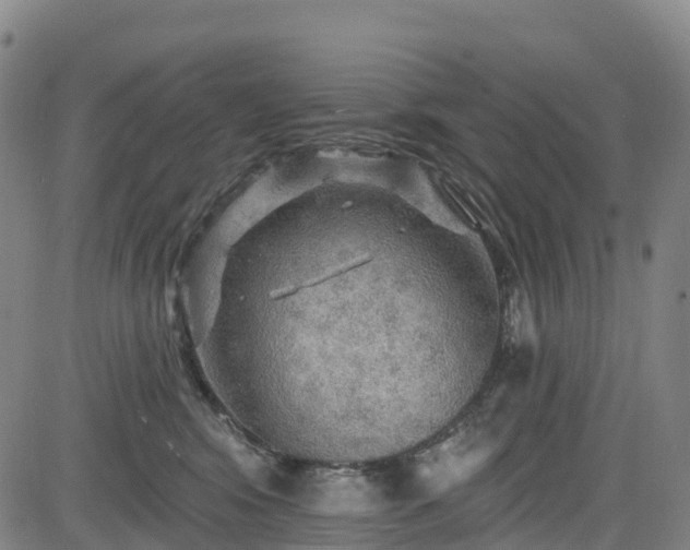 X0000085060424200703121530