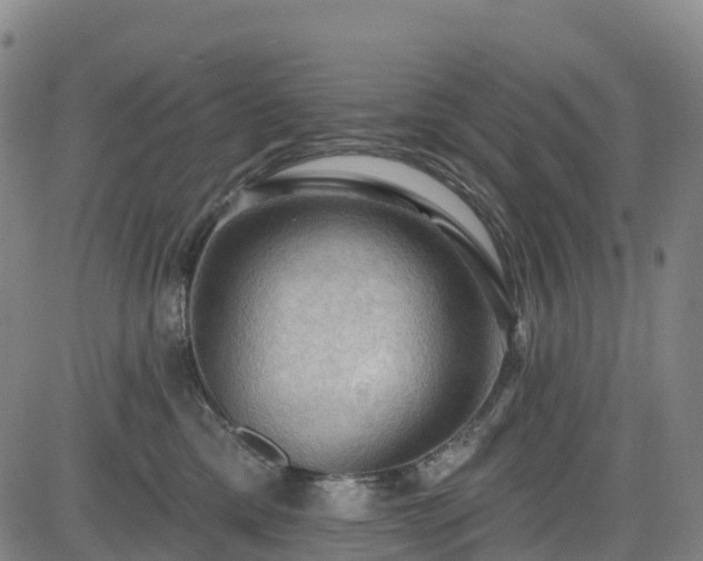 X0000085060425200703121530