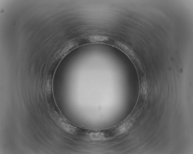 X0000085060426200703121530