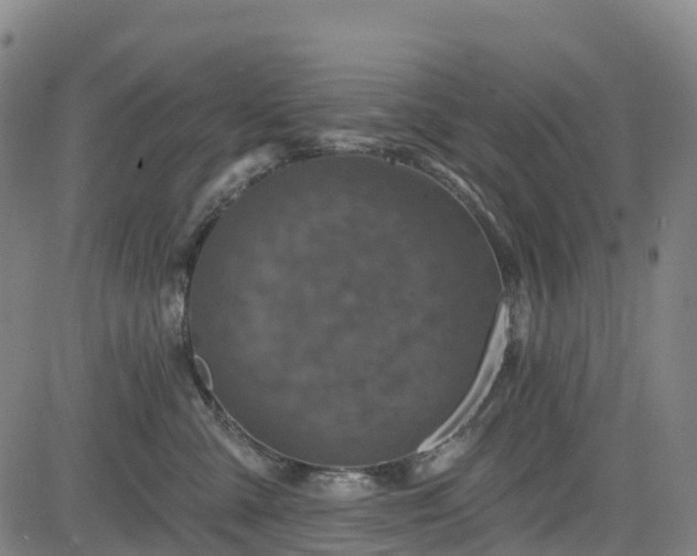 X0000085060427200703121530