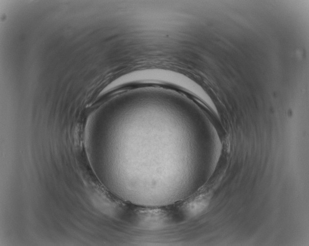 X0000085060428200703121530