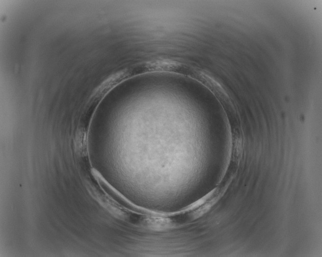 X0000085060429200703121530