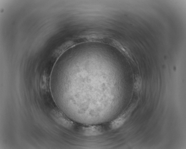 X0000085060430200703121530