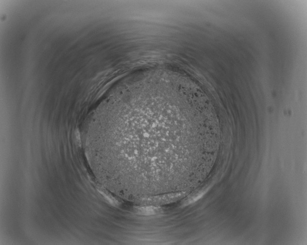 X0000085060432200703121530