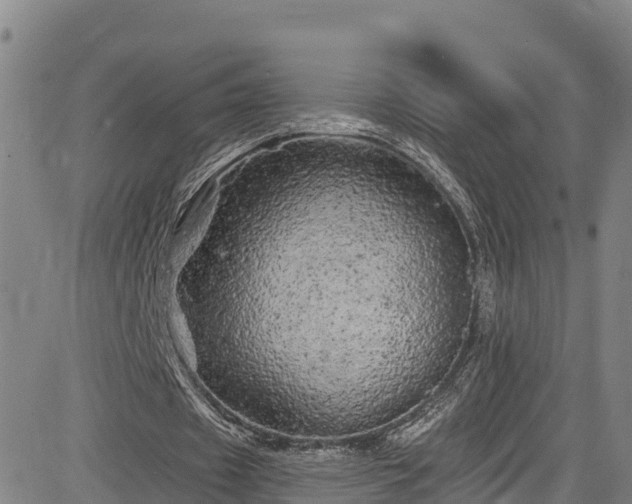 X0000085060433200703121529