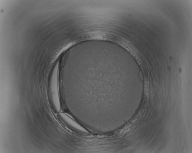 X0000085060434200703121529