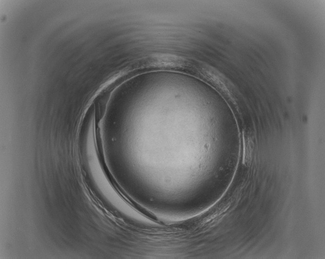 X0000085060435200703121529