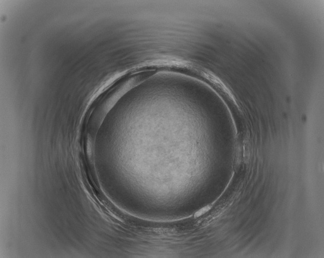 X0000085060436200703121529