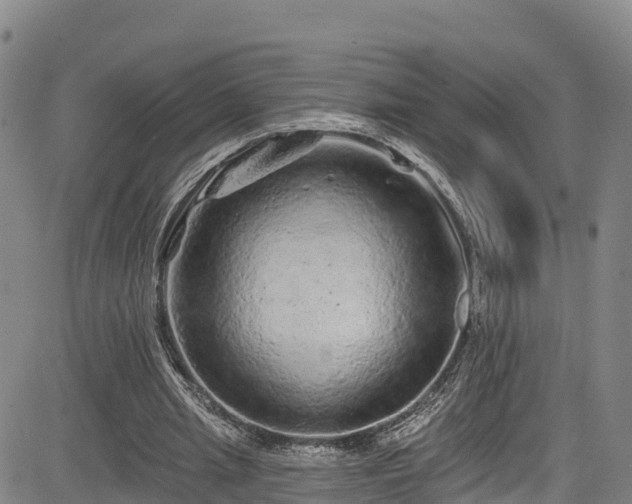 X0000085060437200703121529