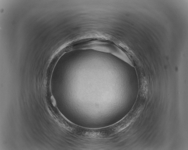 X0000085060440200703121529