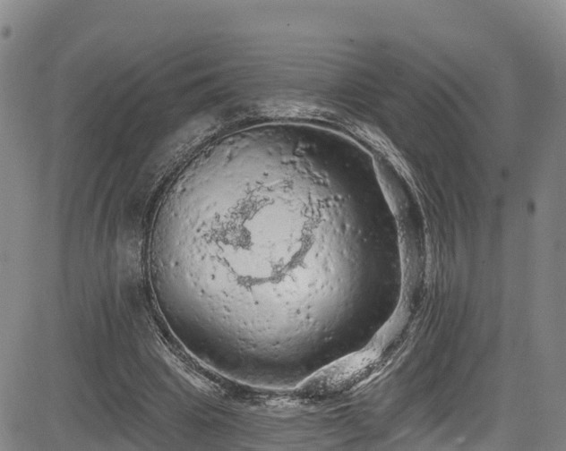 X0000085060441200703121529