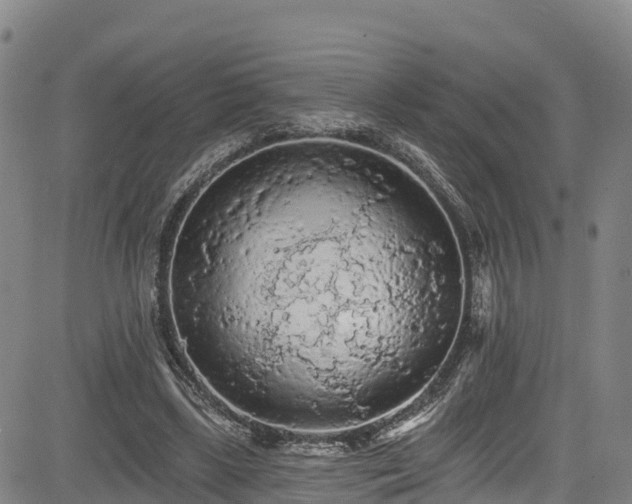 X0000085060443200703121529